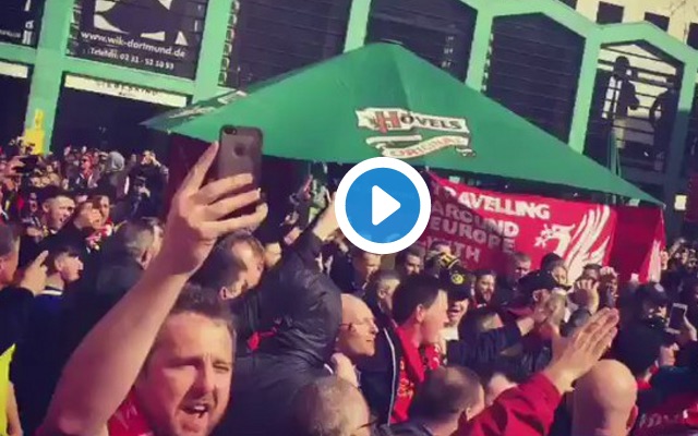 Liverpool fans celebrate