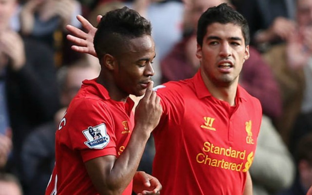 sterling suarez