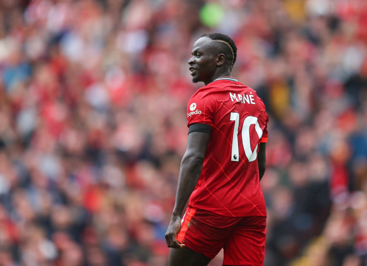 Mane, Romano