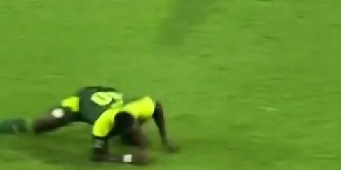 Mane