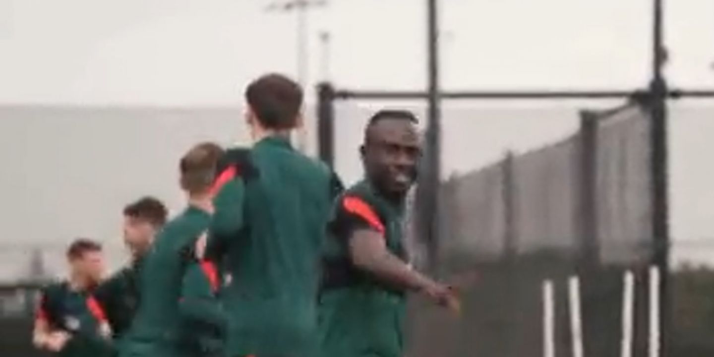 Mane