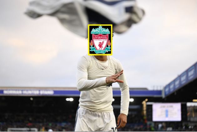 tyler-adams-liverpool