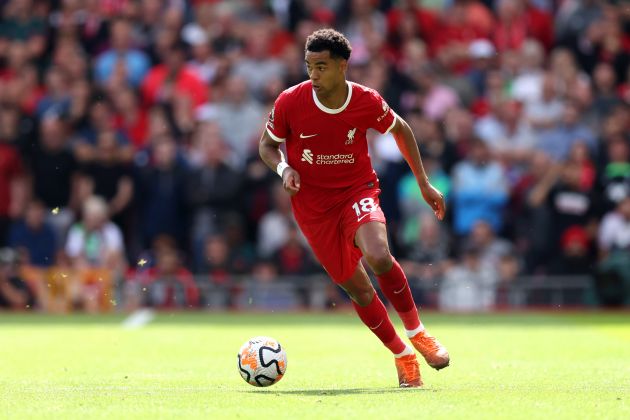 Cody Gakpo, Liverpool